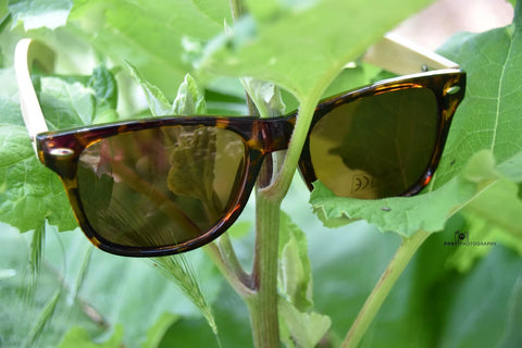 Red Tortoise Bamboo Wood Sunglasses